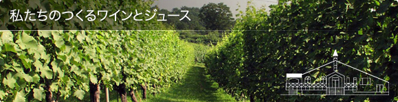 スイス村ワイナリー ピノノワール プルミエ 青木原 【長野ワイン・日本ワイン・純国産ワイン】
