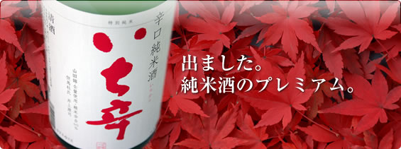 世界一統 辛口純米 いち辛 【和歌山・地酒】