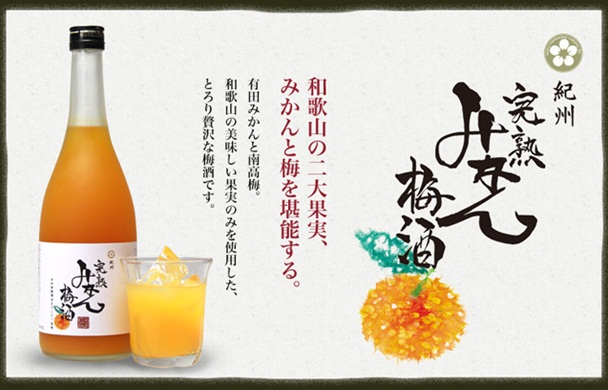 中野BC 紀州の完熟みかん梅酒 【和歌山・梅酒】