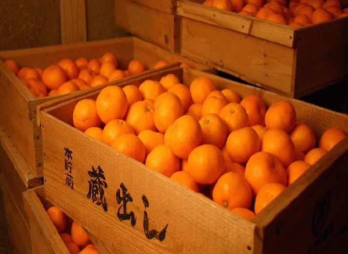 和歌山下津特産みかん　蔵だシロップ【和歌山・海南・下津・食品】