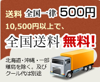 10,500円以上で全国送料無料!!